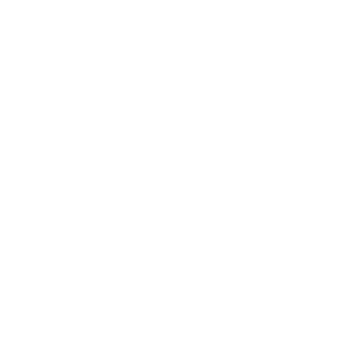 VS